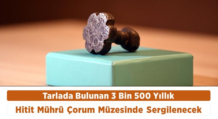 Tarlada Bulunan 3 Bin 500 Yıllık Hitit Mührü Çorum Müzesinde Sergilenecek